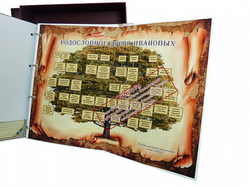 Родословная книга "Классическая"