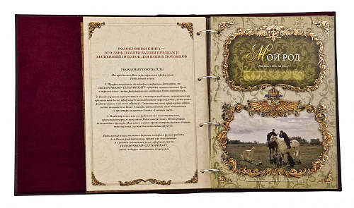 Родословная книга "Золоченое дерево"