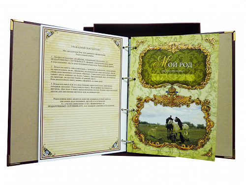 Родословная книга "Классическая"